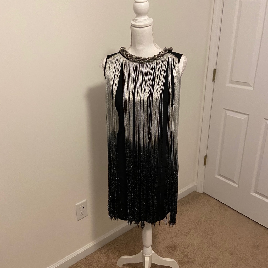 Bnwt Sleeveless Flapper Dress